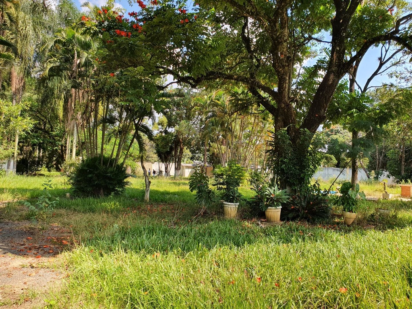 Loteamento e Condomínio, 1 hectares - Foto 144