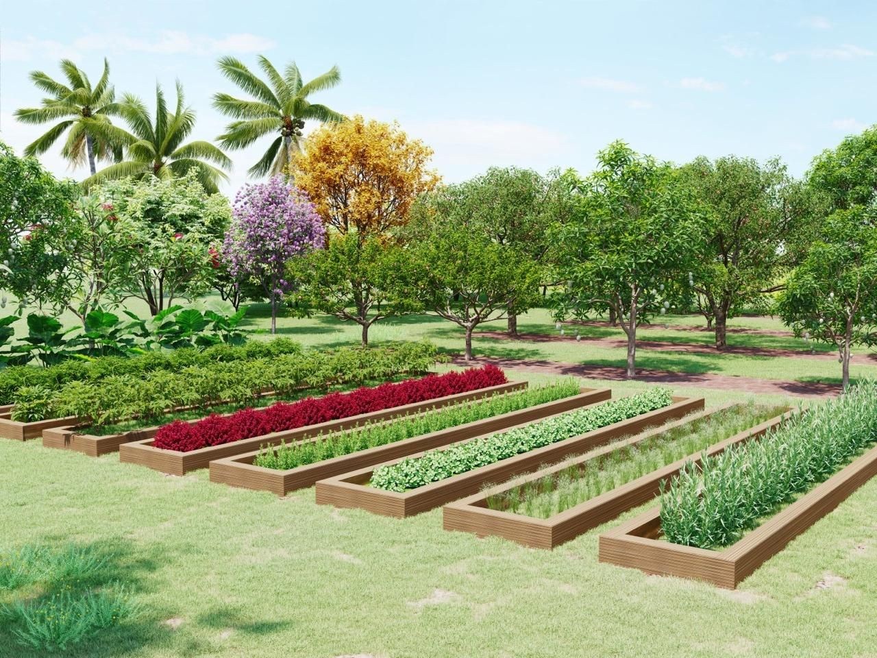 Terreno, 160 m² - Foto 14
