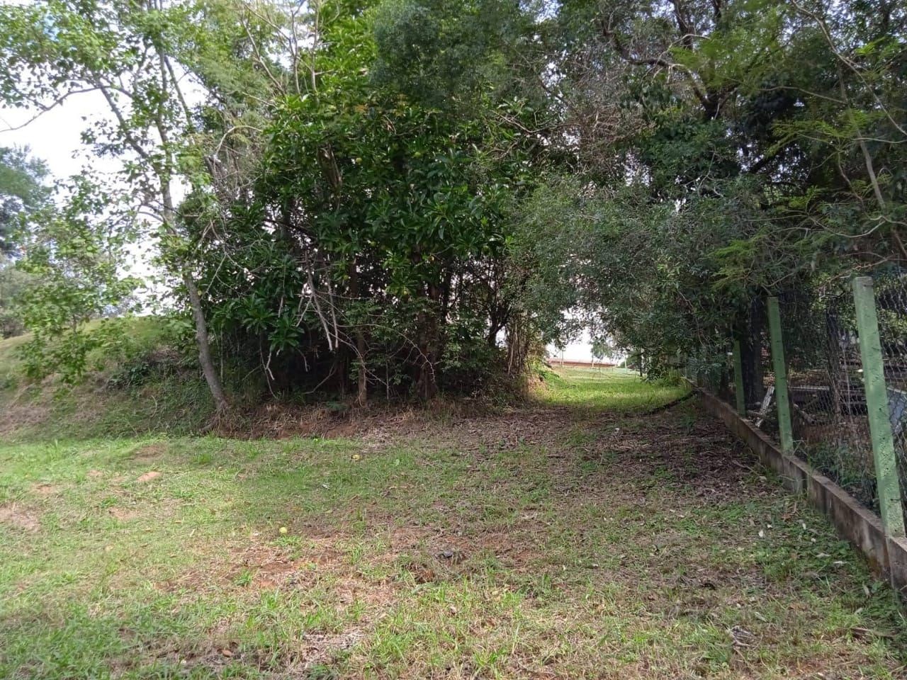 Terreno, 1736 m² - Foto 14