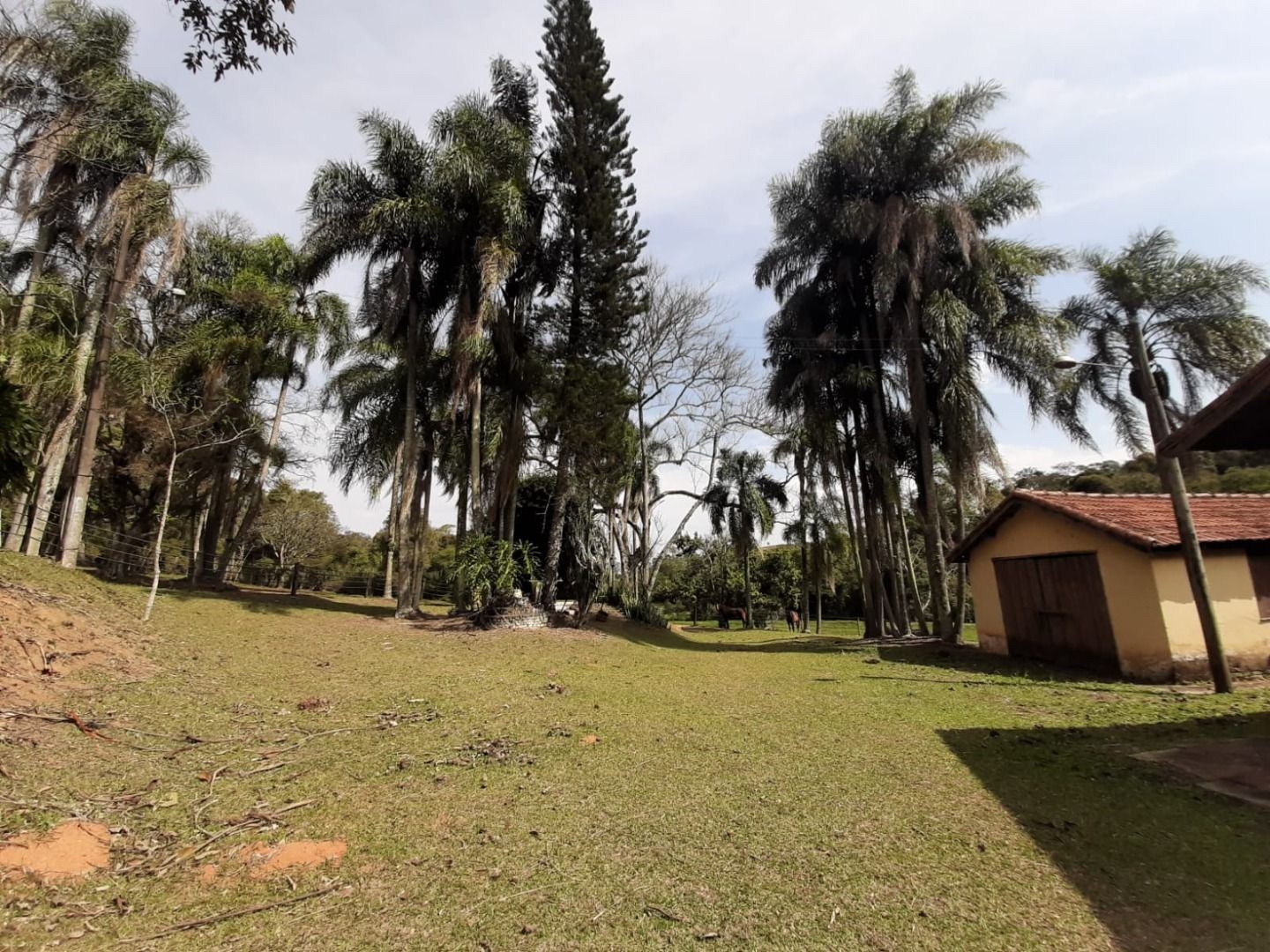 Fazenda, 7 hectares - Foto 17