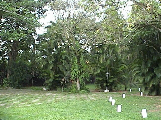 Loteamento e Condomínio, 1 hectares - Foto 103