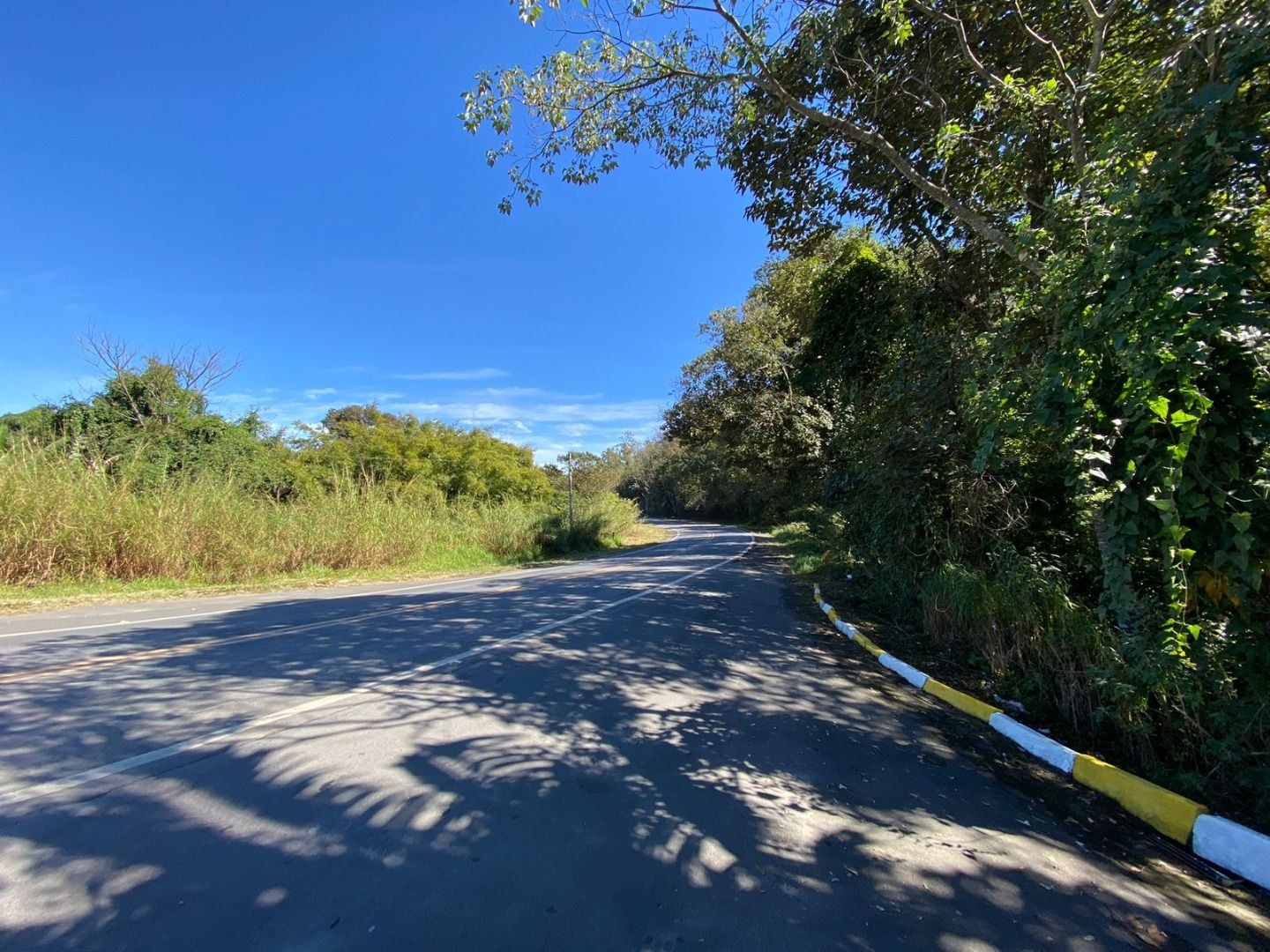 Terreno, 32 hectares - Foto 4
