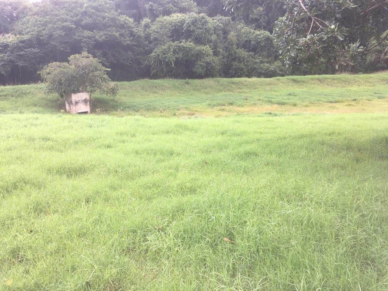 Fazenda, 7 hectares - Foto 46