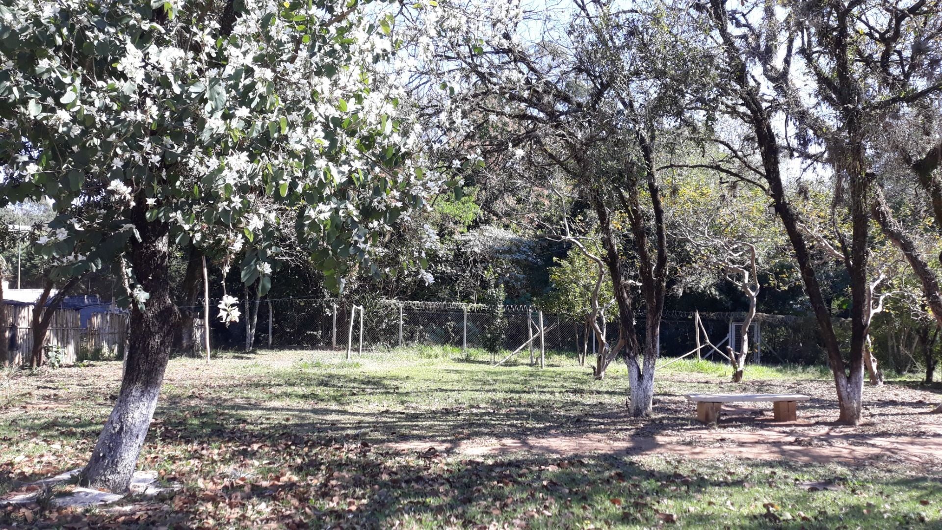 Loteamento e Condomínio, 1 hectares - Foto 112