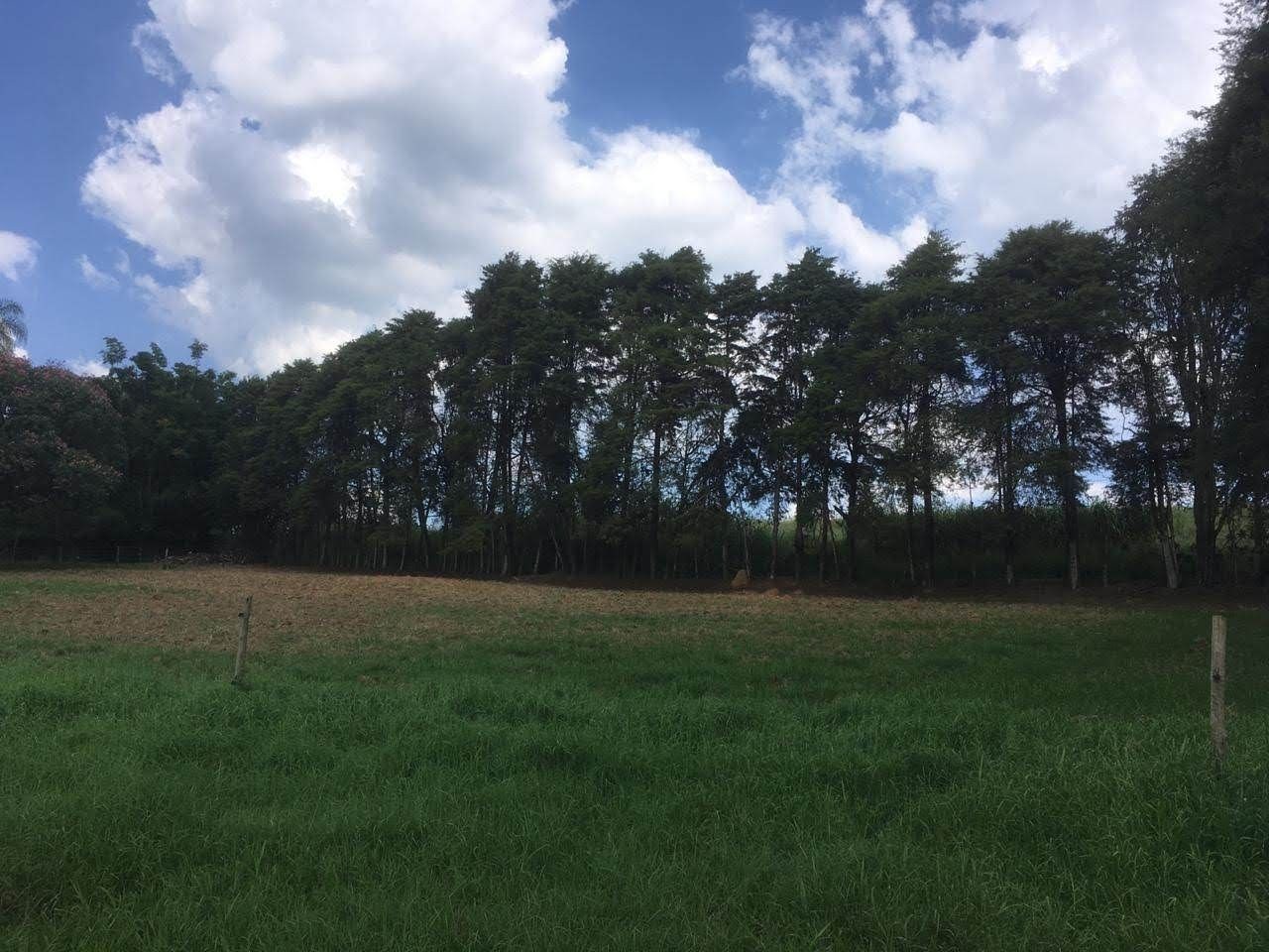 Fazenda, 7 hectares - Foto 48