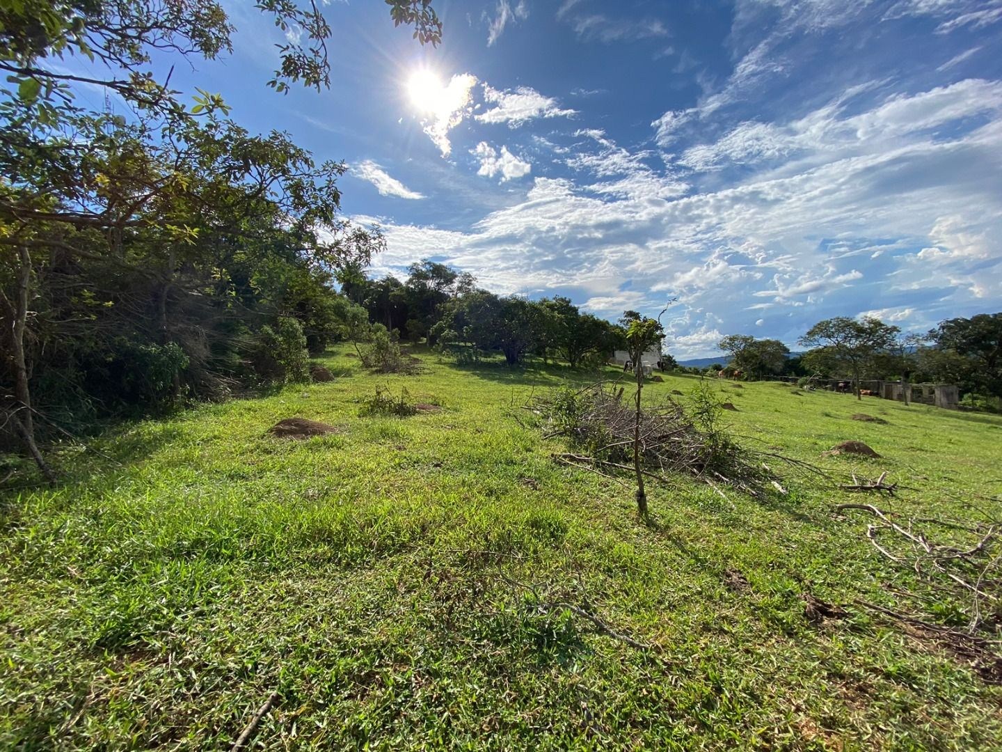 Fazenda, 3 hectares - Foto 10