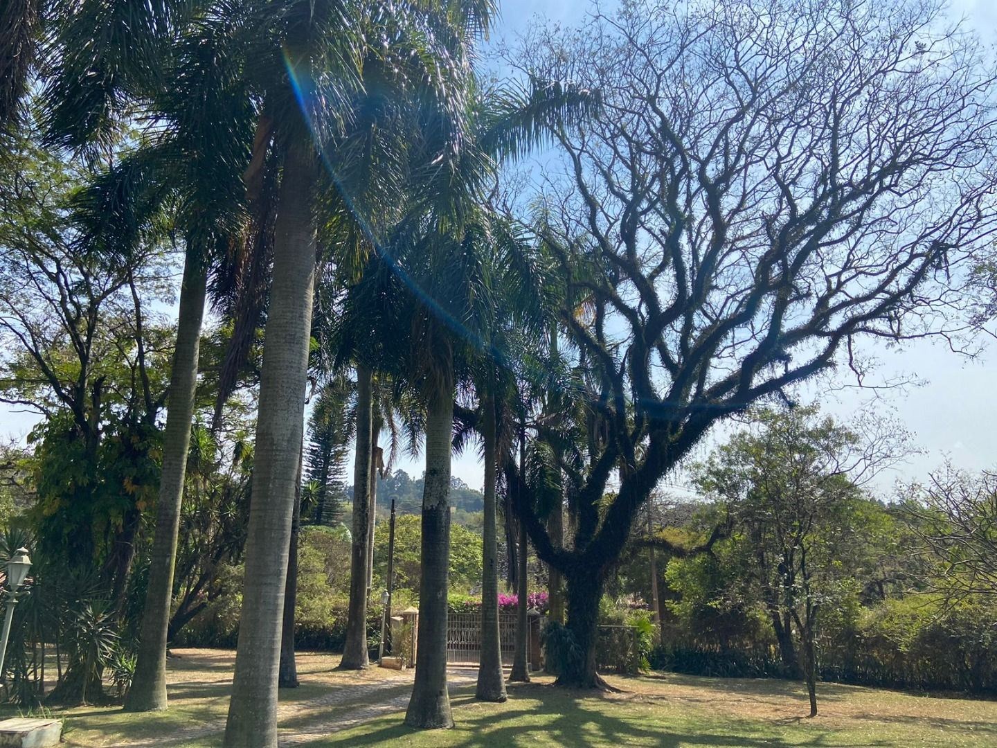 Sítio, 4 quartos, 1 hectares - Foto 4