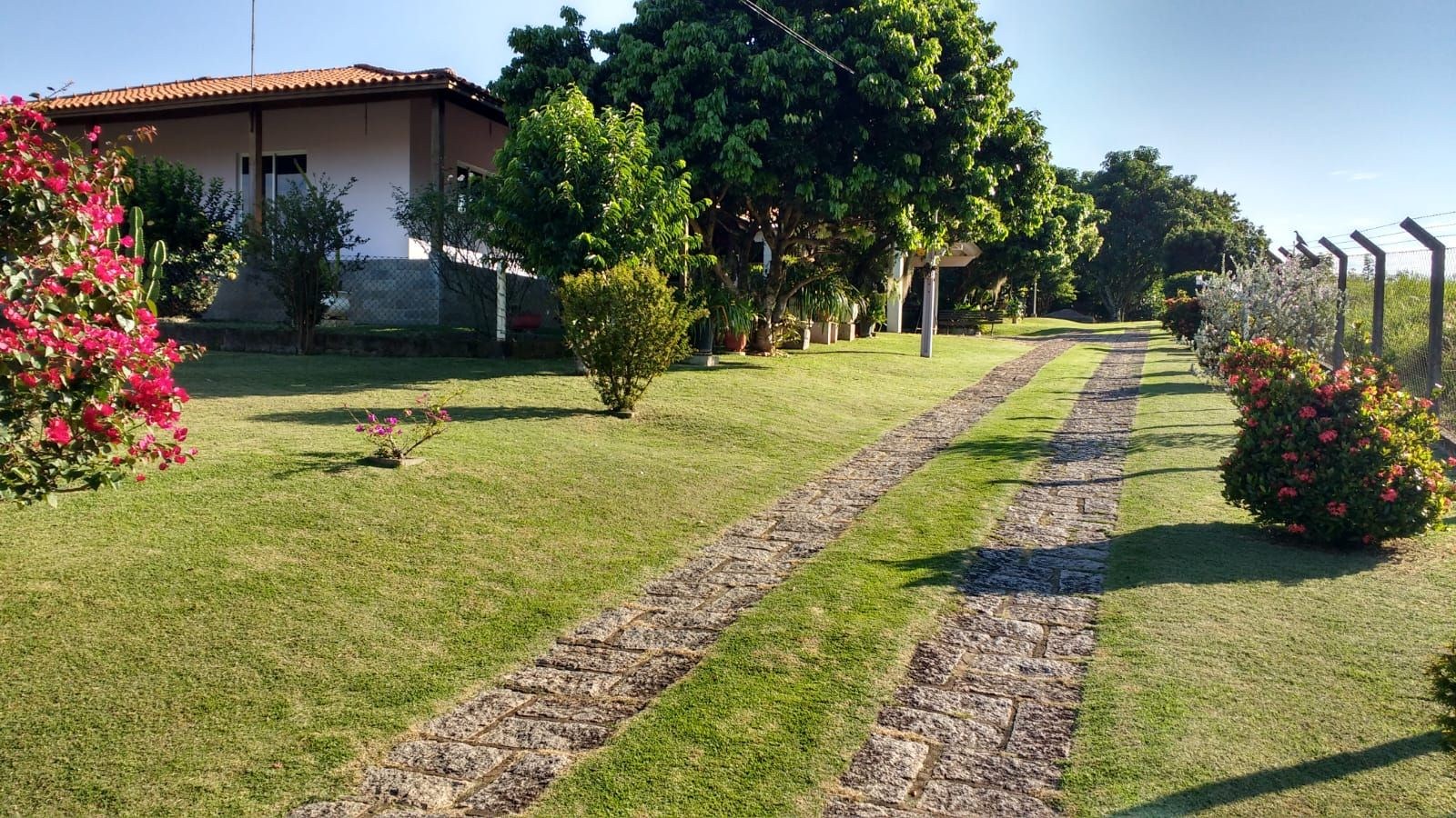 Sítio, 3 quartos, 5090 m² - Foto 6