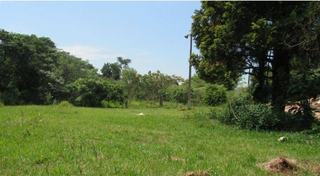 Terreno, 5000 m² - Foto 6