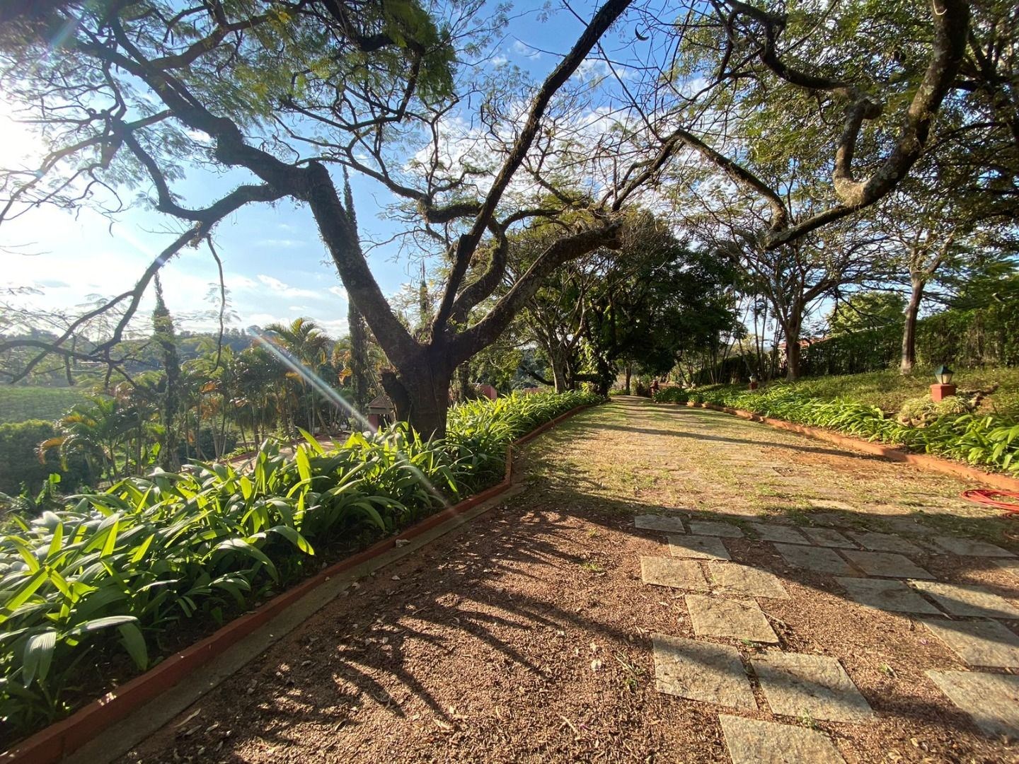 Sítio, 6 quartos, 2 hectares - Foto 7
