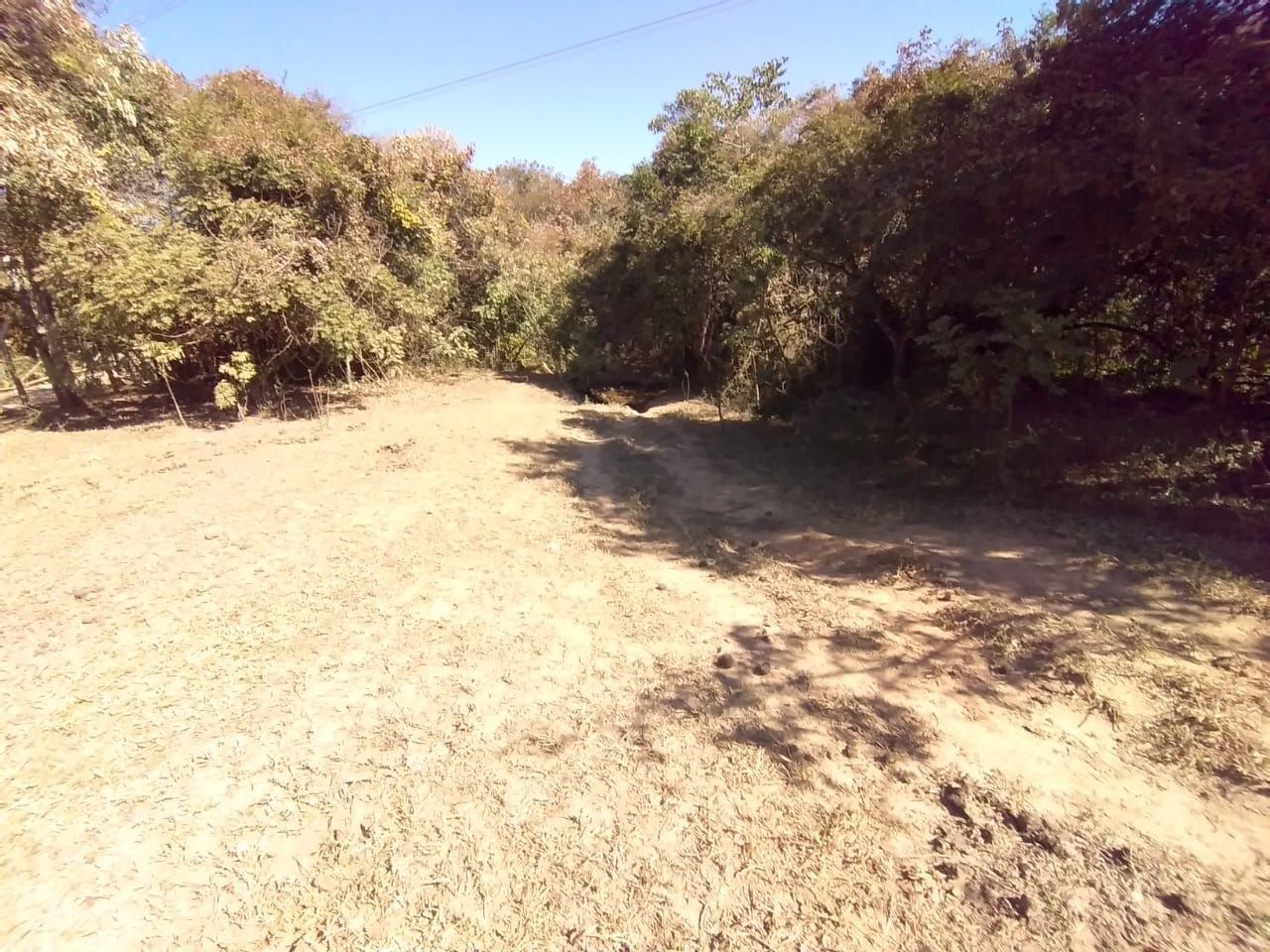 Terreno, 2 hectares - Foto 15