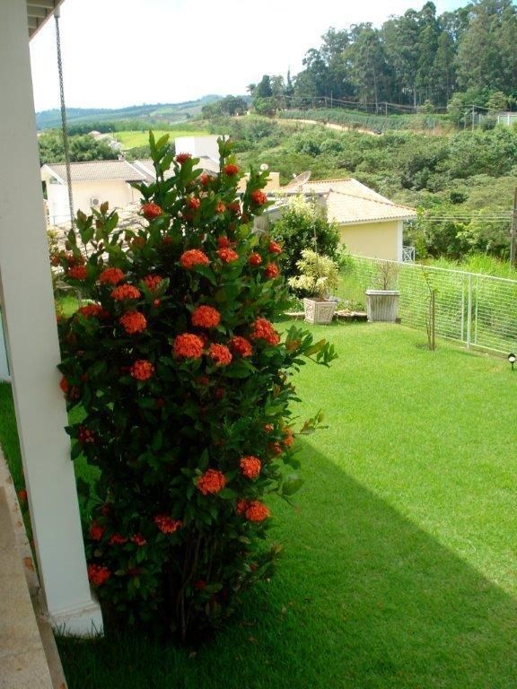 Casa, 3 quartos - Foto 22