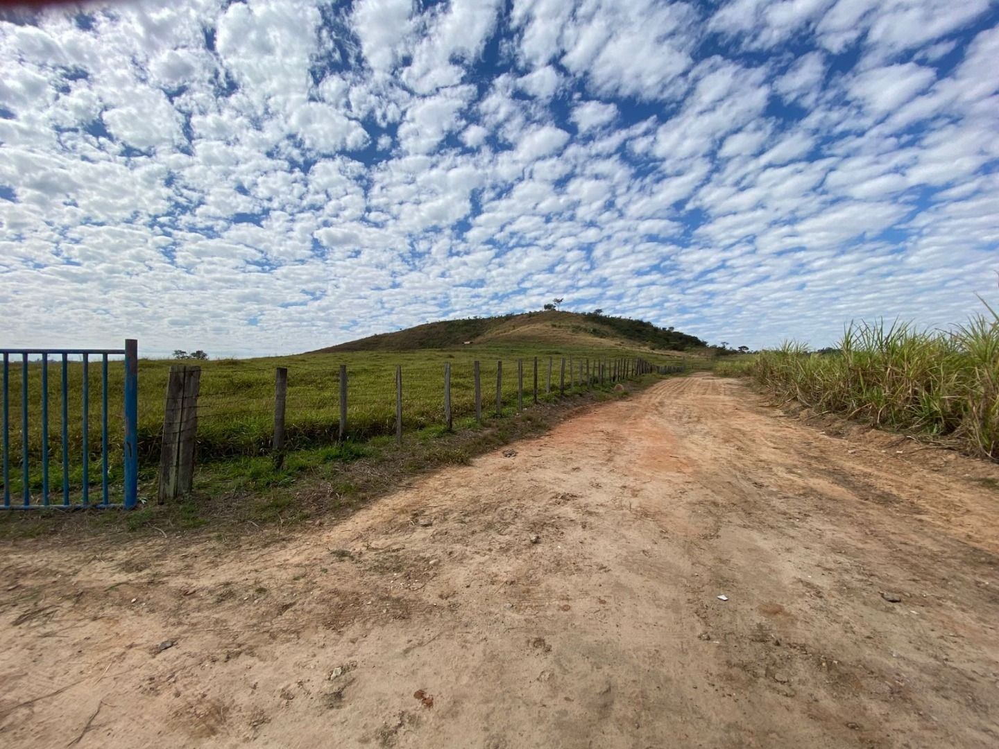 Fazenda, 404 hectares - Foto 30
