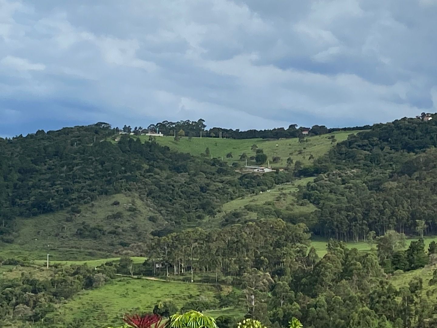 Fazenda, 3 hectares - Foto 12