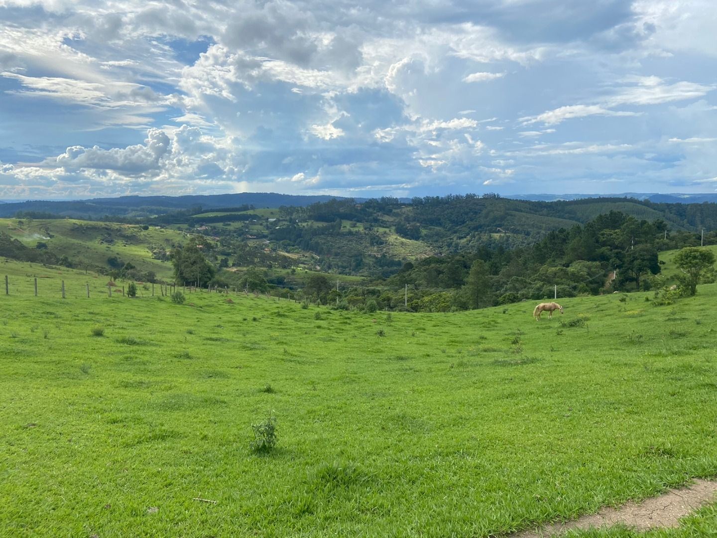 Fazenda, 3 hectares - Foto 7