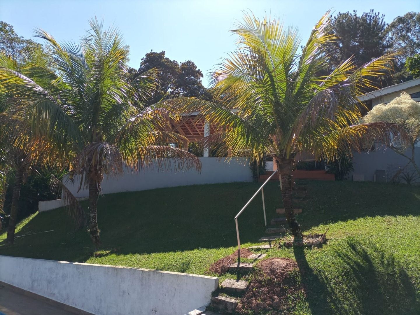 Sítio, 3 quartos, 3850 m² - Foto 3