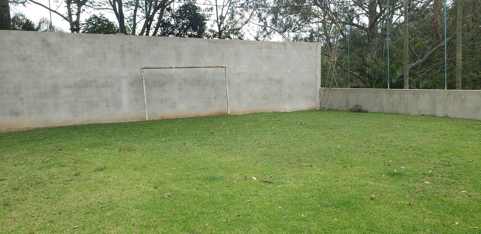 Sítio, 3 quartos, 2016 m² - Foto 13