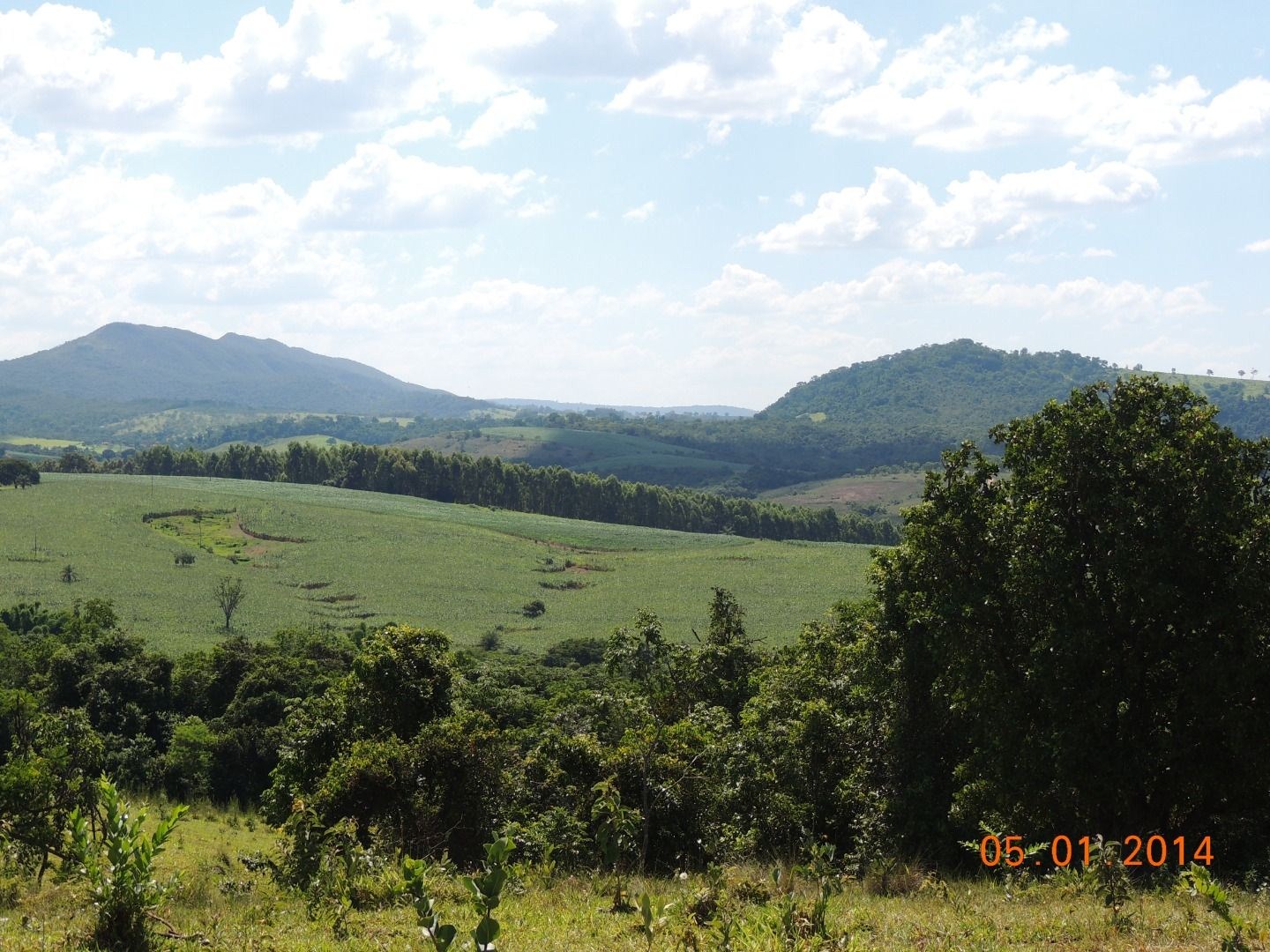 Fazenda, 28 hectares - Foto 7