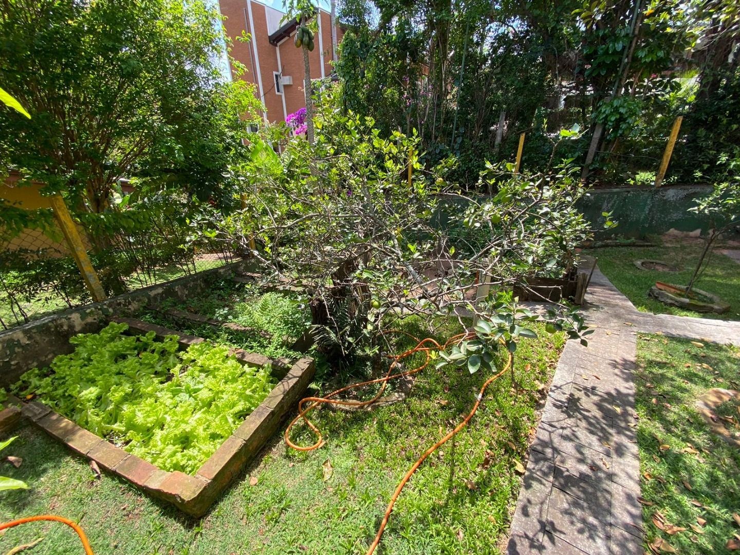Casa, 8 quartos - Foto 36