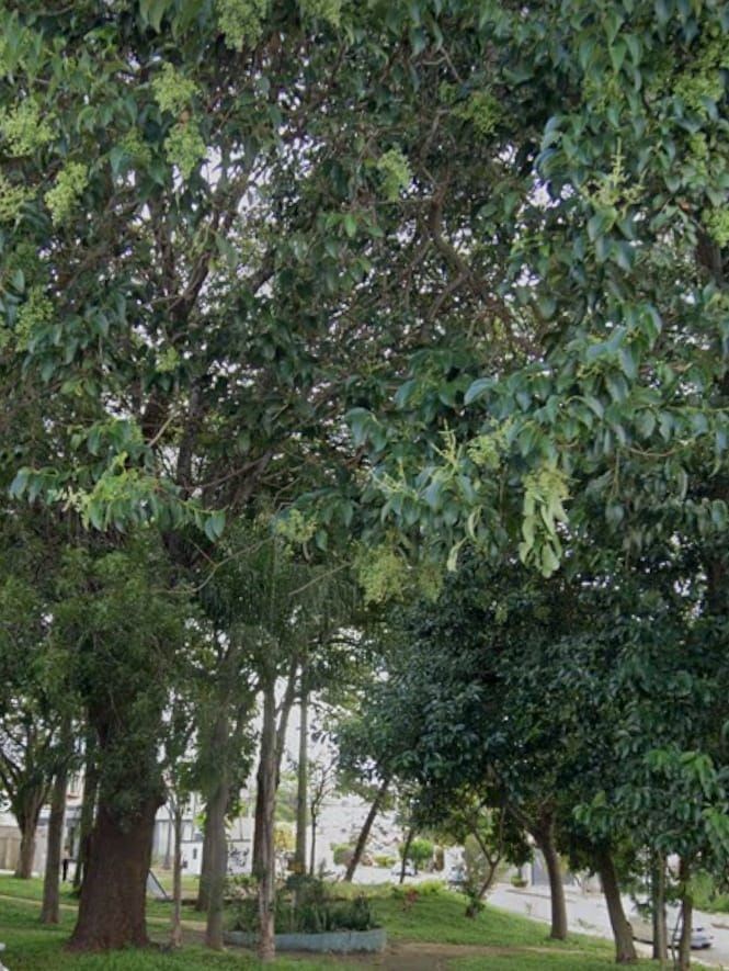 Loteamento e Condomínio, 308 m² - Foto 2