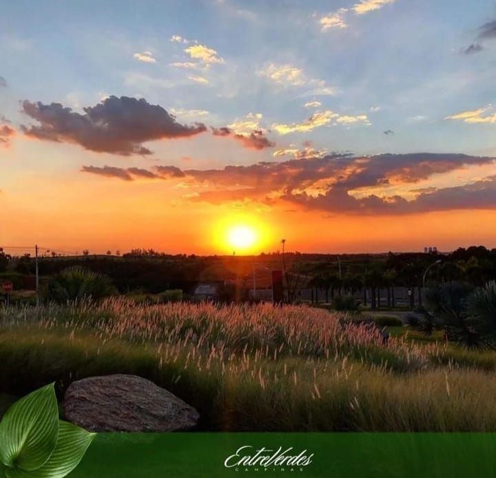Terreno, 1 hectares - Foto 13
