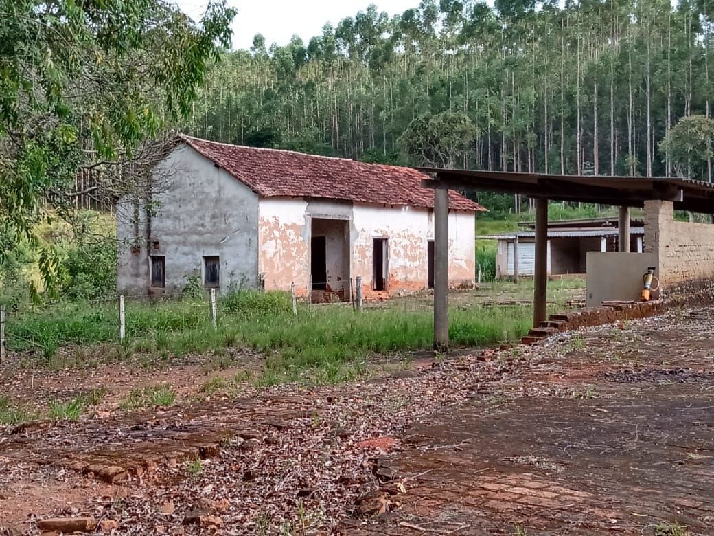 Fazenda, 122 hectares - Foto 9