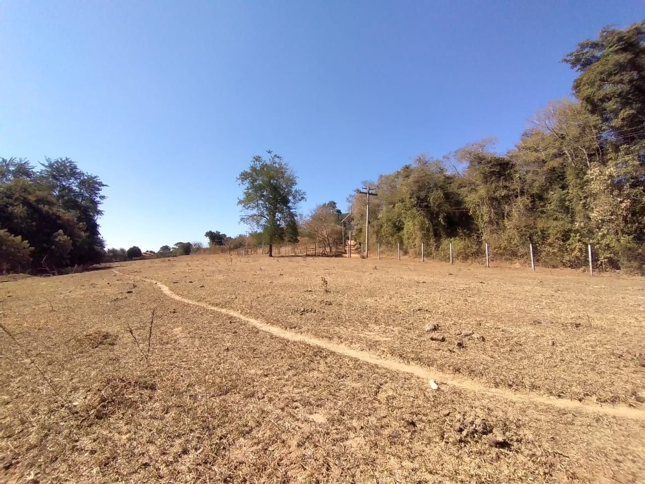 Terreno, 2 hectares - Foto 4
