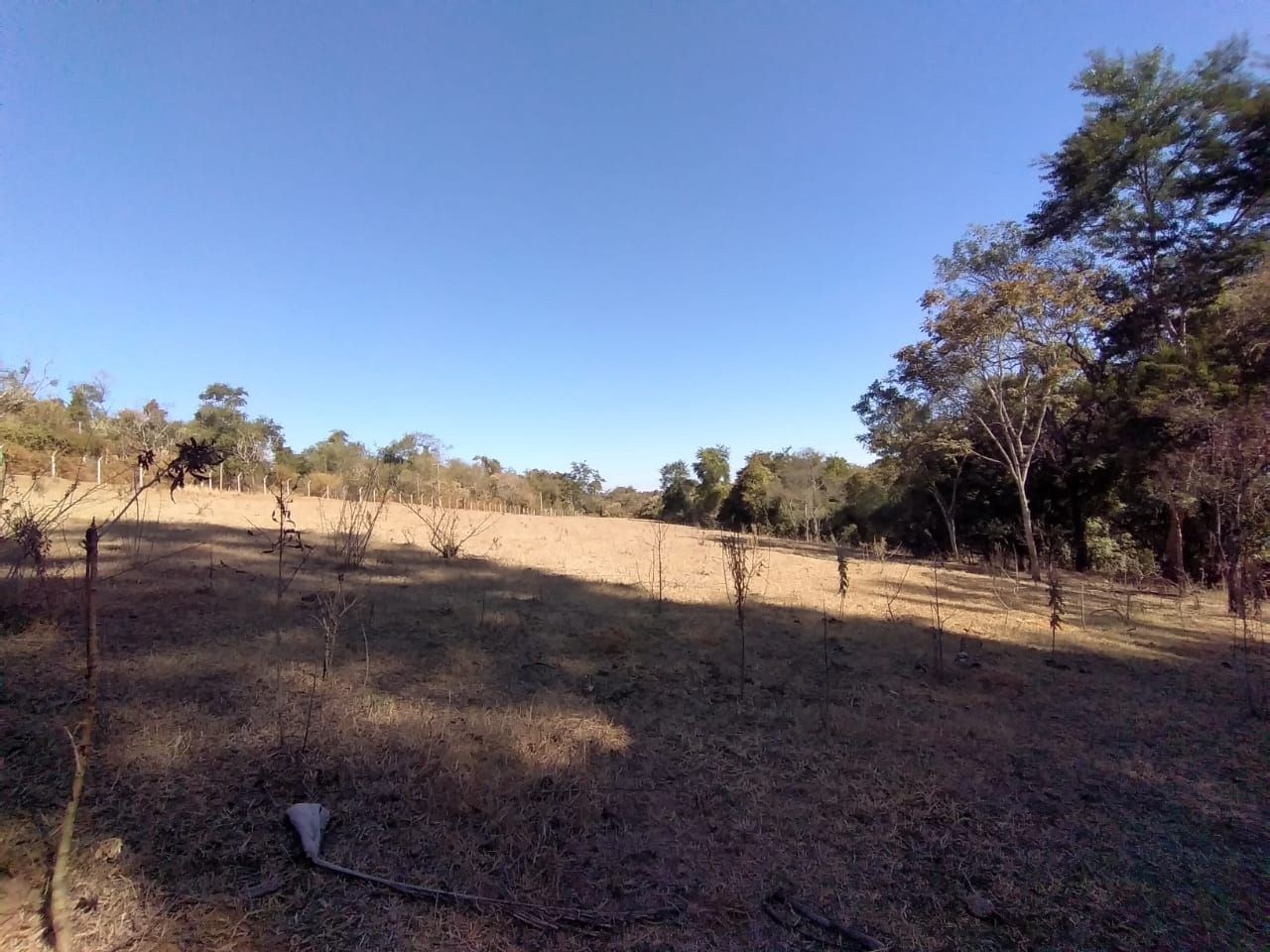 Terreno, 2 hectares - Foto 3