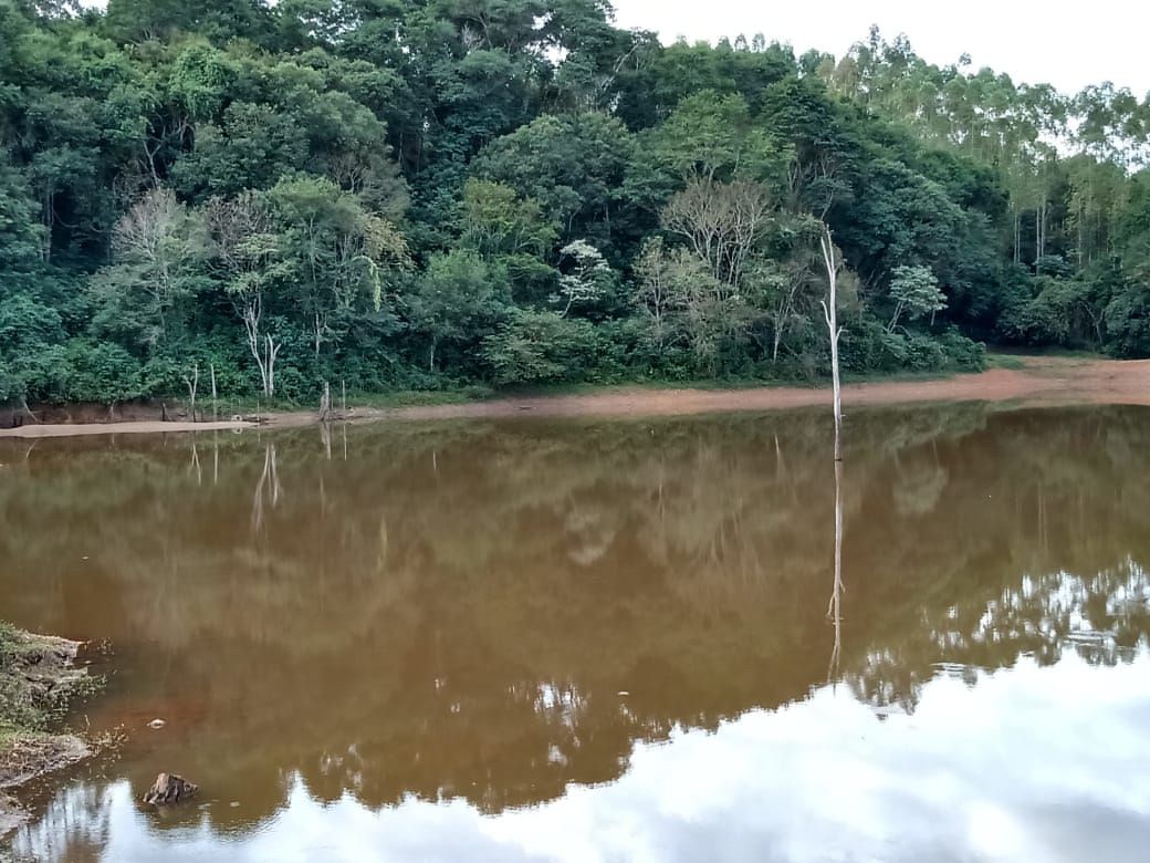 Fazenda, 122 hectares - Foto 8