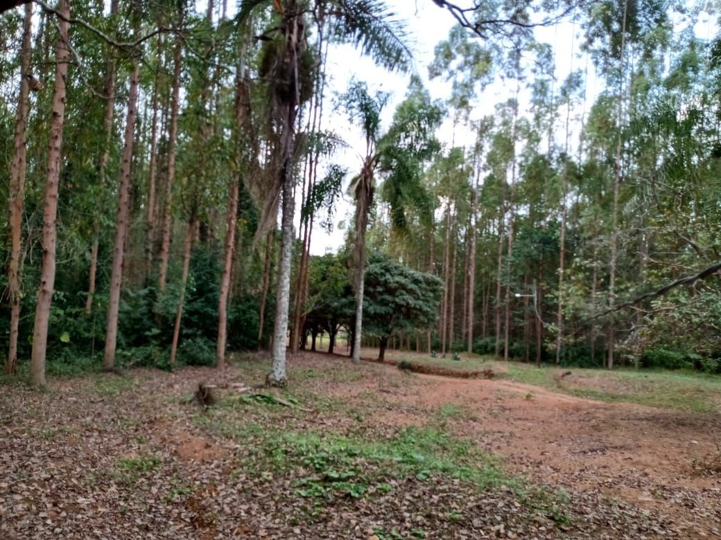 Fazenda, 122 hectares - Foto 6