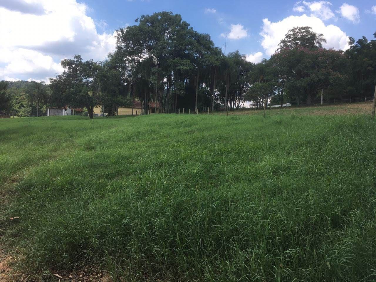 Fazenda, 7 hectares - Foto 47