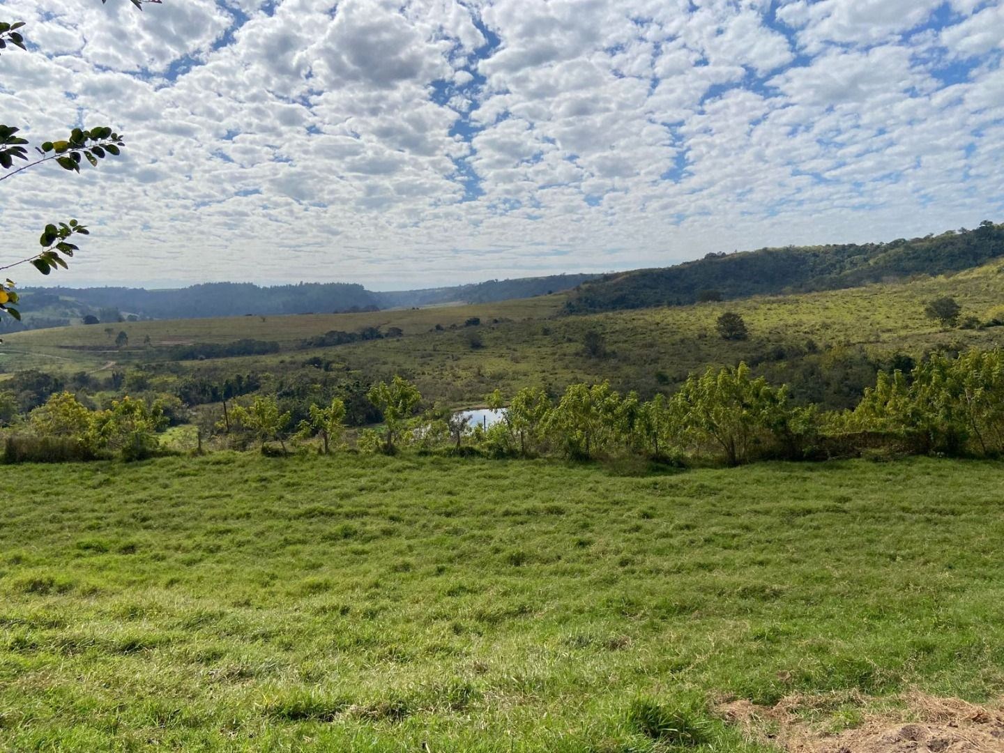Fazenda, 404 hectares - Foto 22