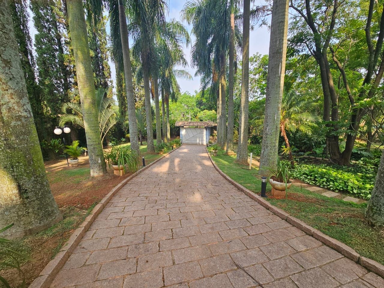 Sítio, 4 quartos, 5000 m² - Foto 4