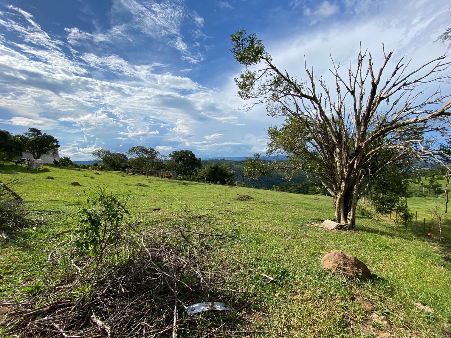 Fazenda, 3 hectares - Foto 12