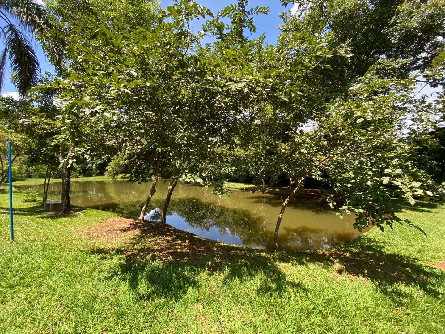 Terreno, 1000 m² - Foto 10