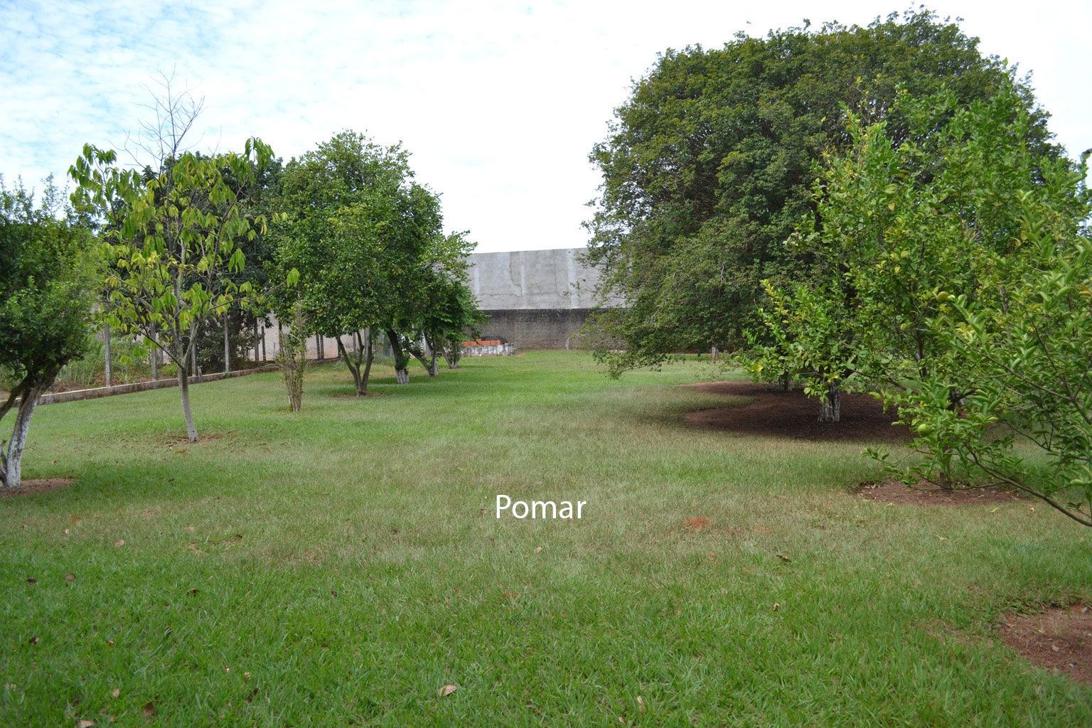Sítio, 4 quartos, 6000 m² - Foto 12