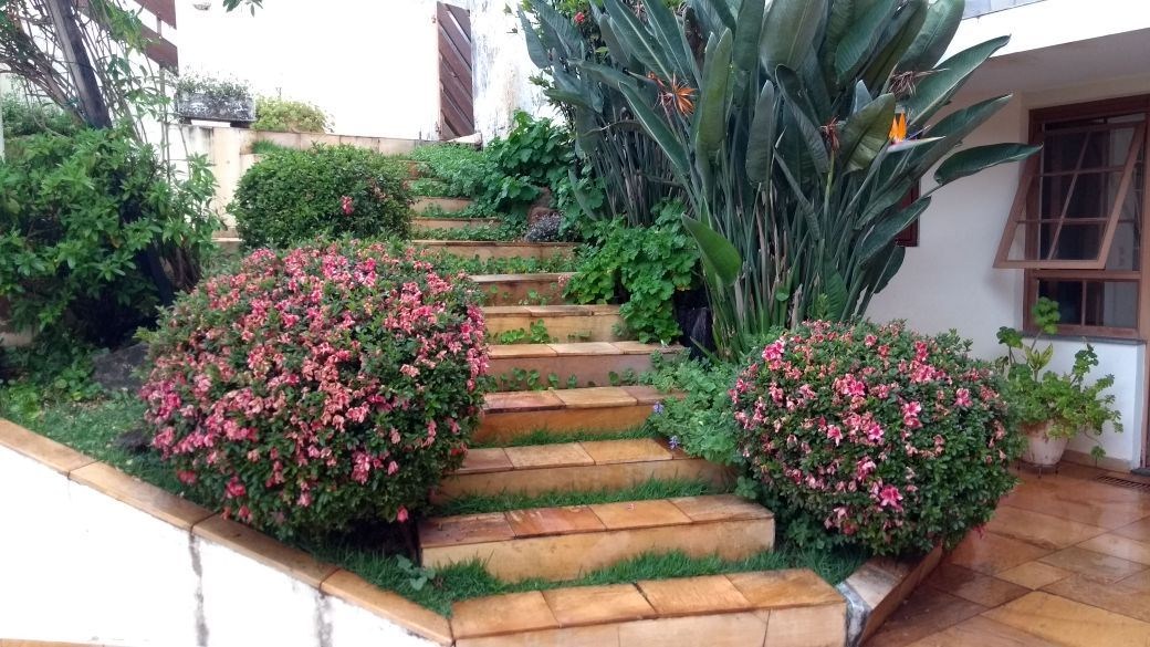 Casa, 6 quartos - Foto 4