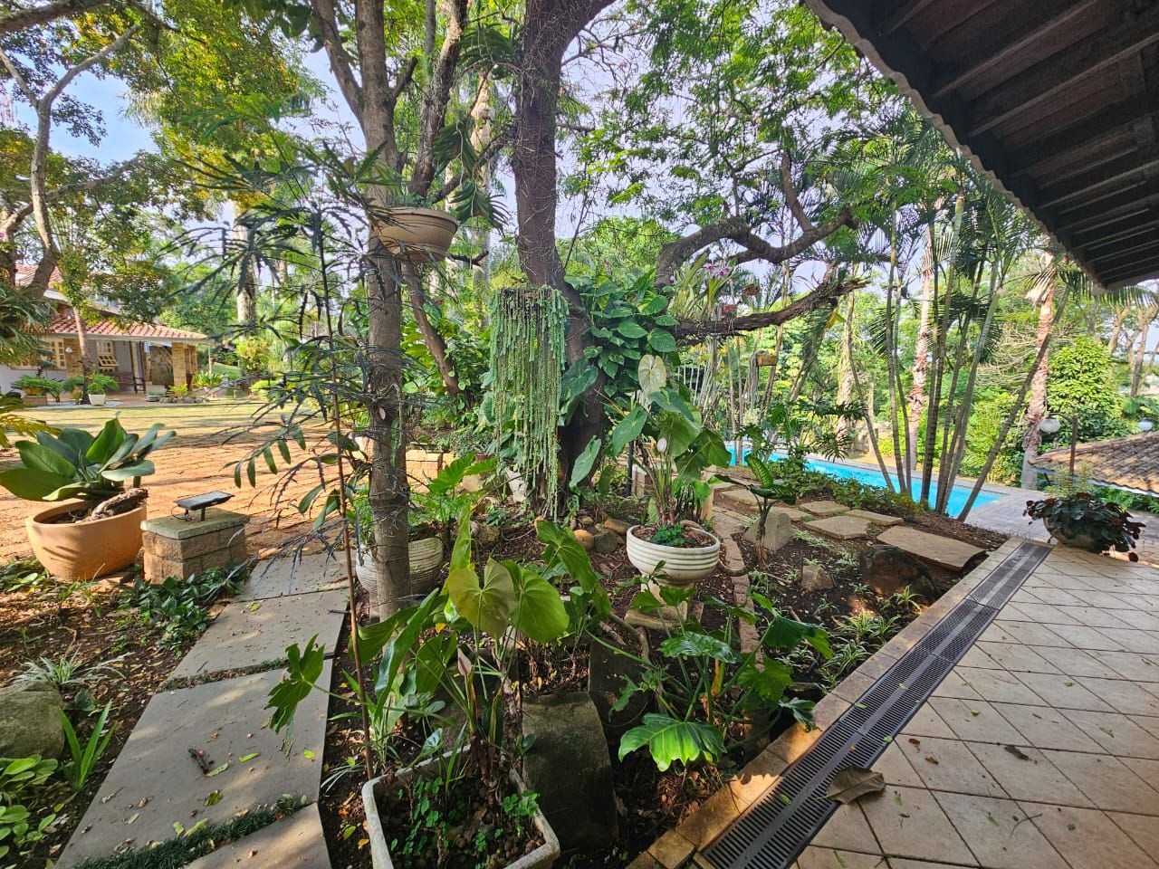 Sítio, 4 quartos, 5000 m² - Foto 15