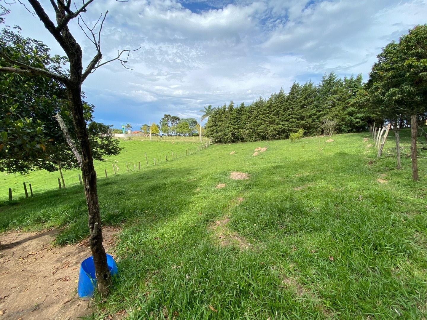 Fazenda, 3 hectares - Foto 1