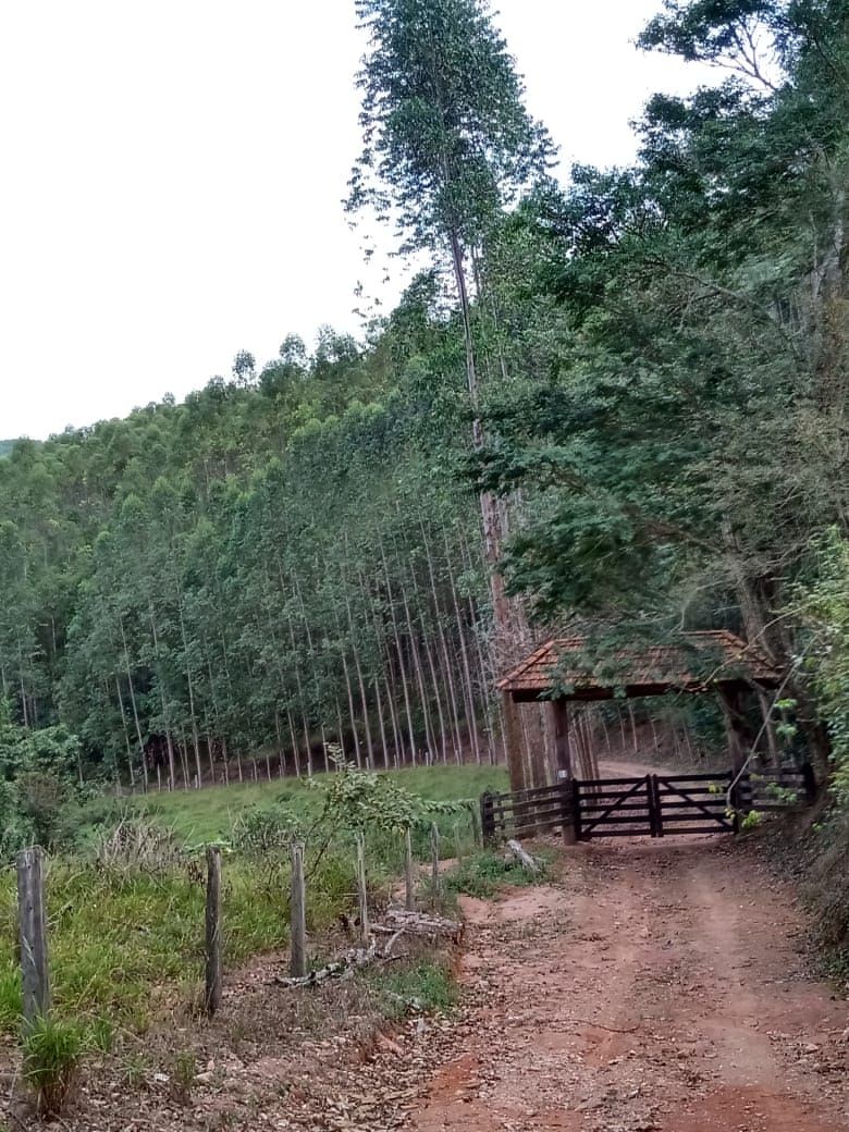 Fazenda, 122 hectares - Foto 5