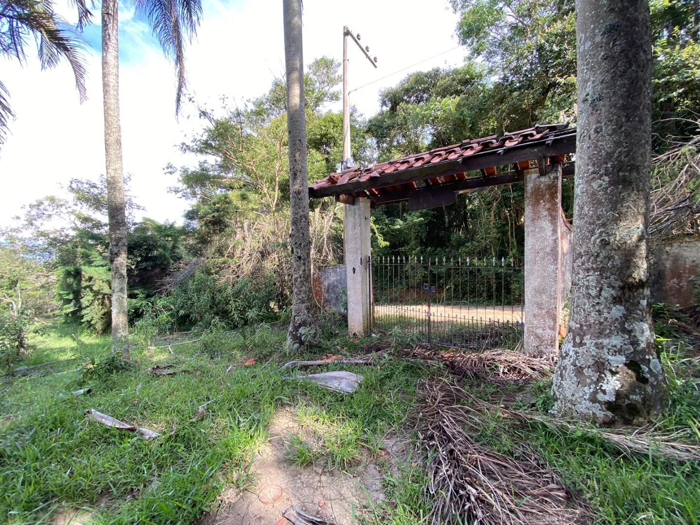 Fazenda, 3 hectares - Foto 6
