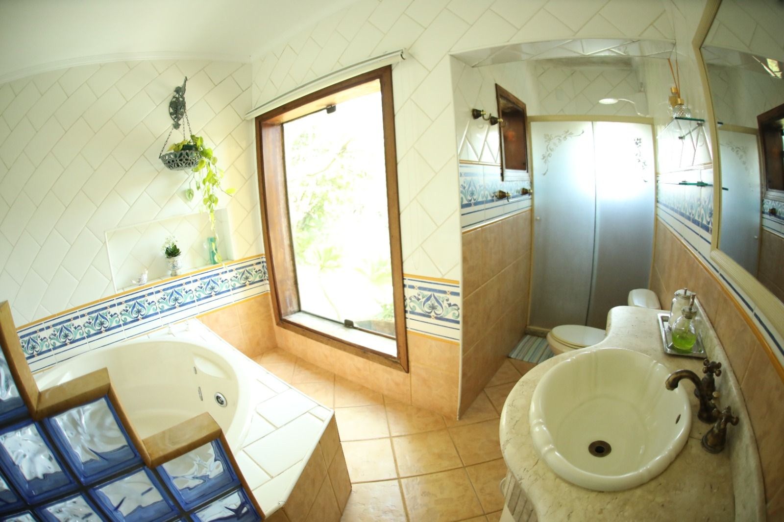 Sítio, 5 quartos, 2400 m² - Foto 24