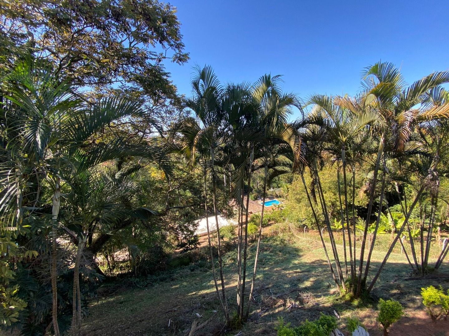 Sítio, 4 quartos, 2000 m² - Foto 20