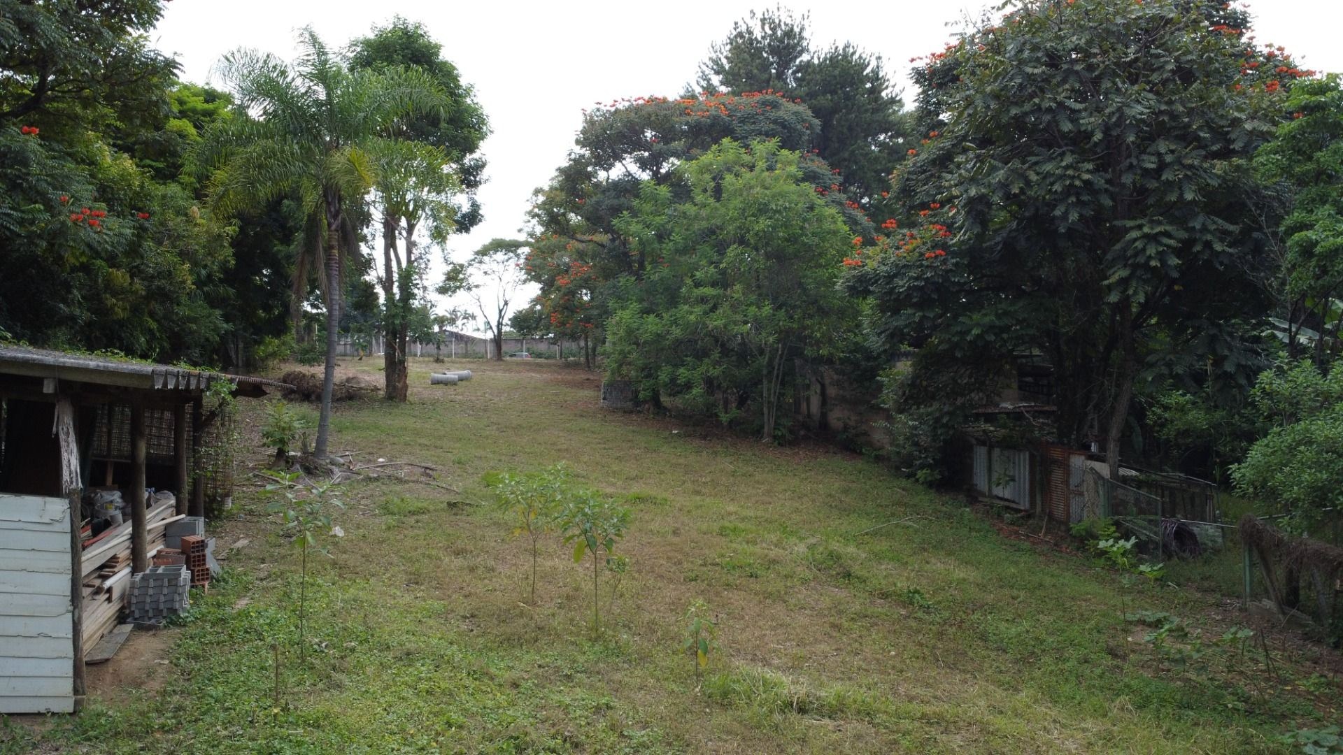 Terreno, 2630 m² - Foto 16