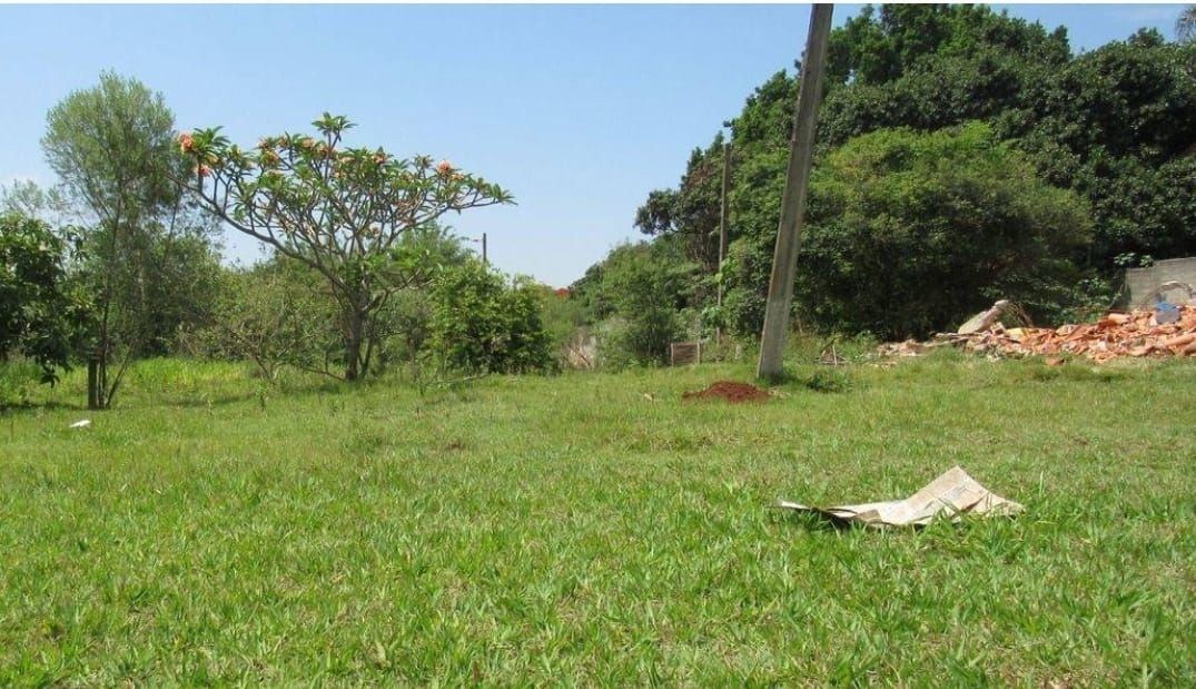 Terreno, 5000 m² - Foto 4