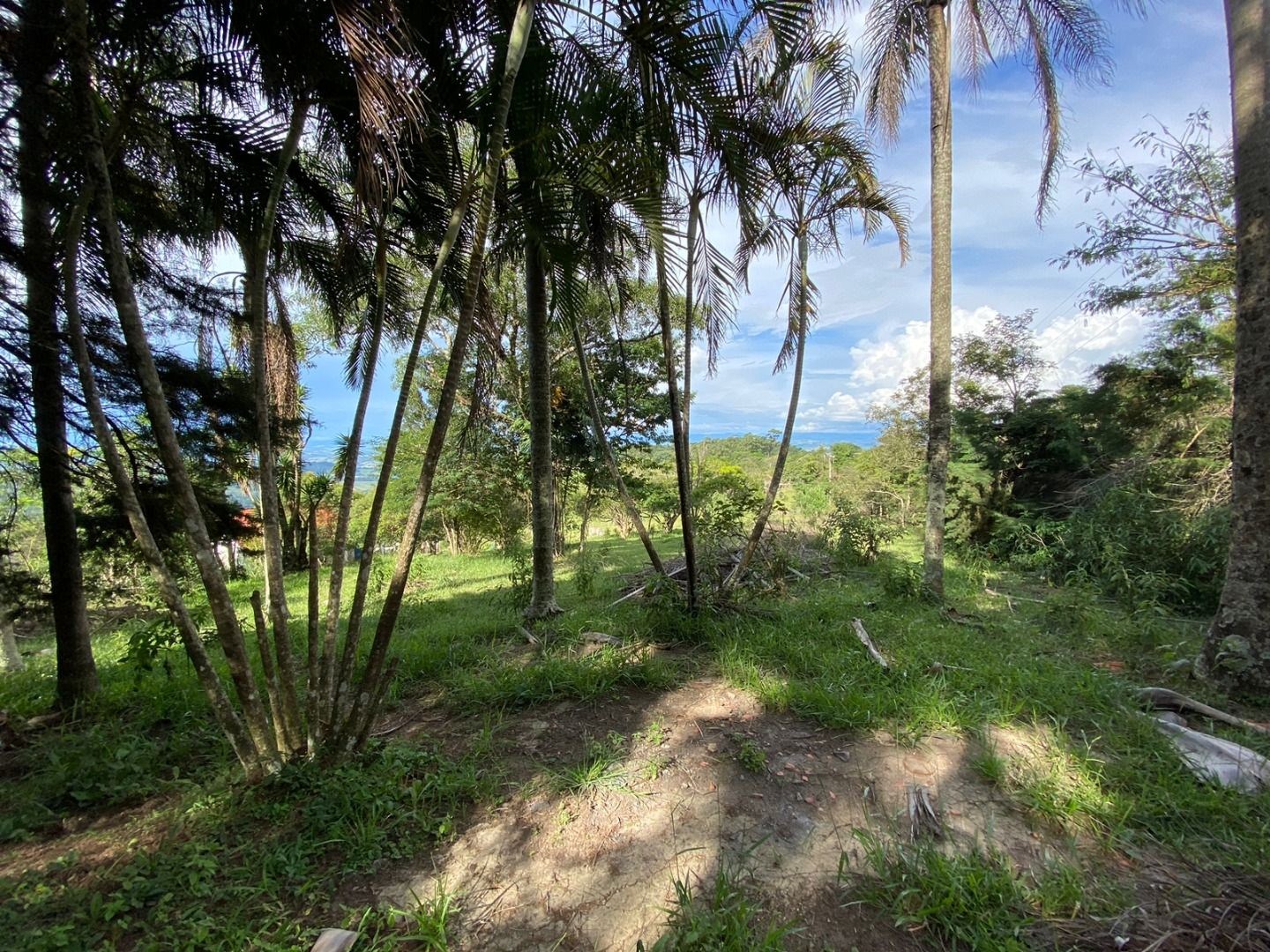 Fazenda, 3 hectares - Foto 3