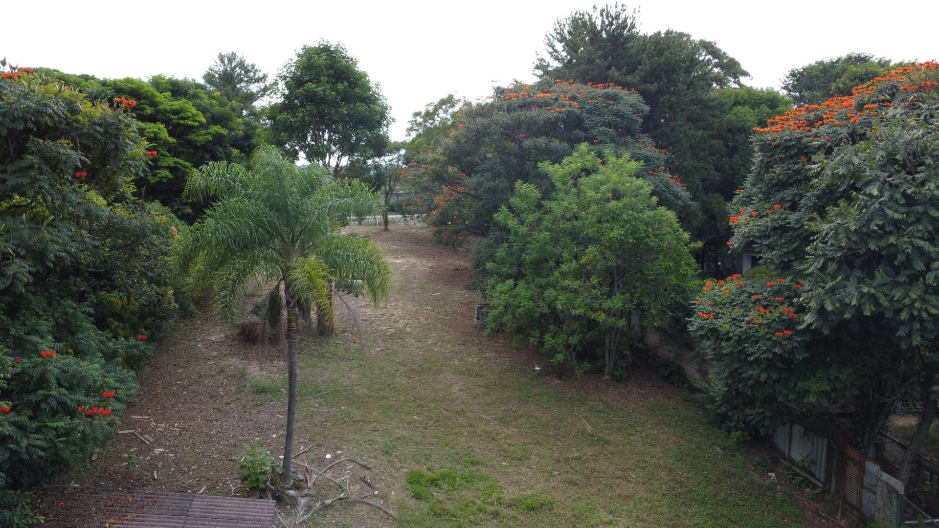 Terreno, 2630 m² - Foto 17