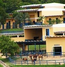 Terreno, 1000 m² - Foto 14