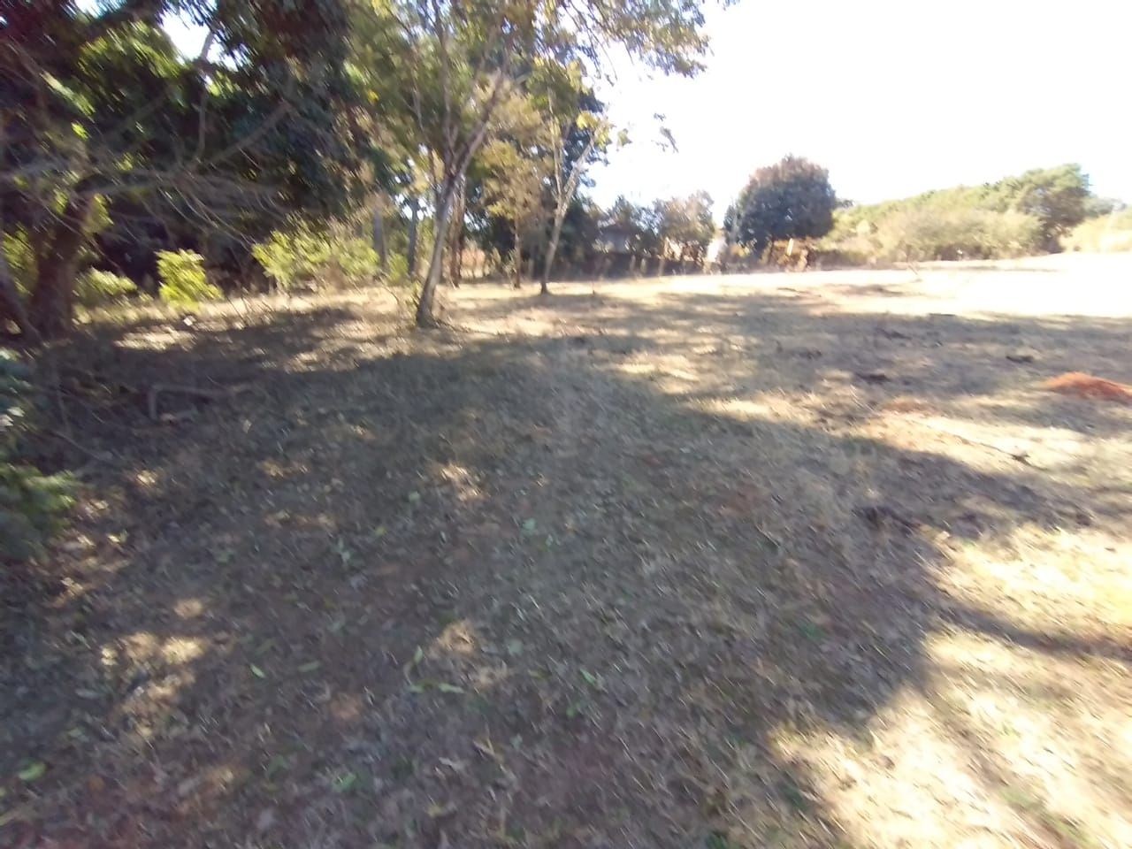 Terreno, 2 hectares - Foto 5