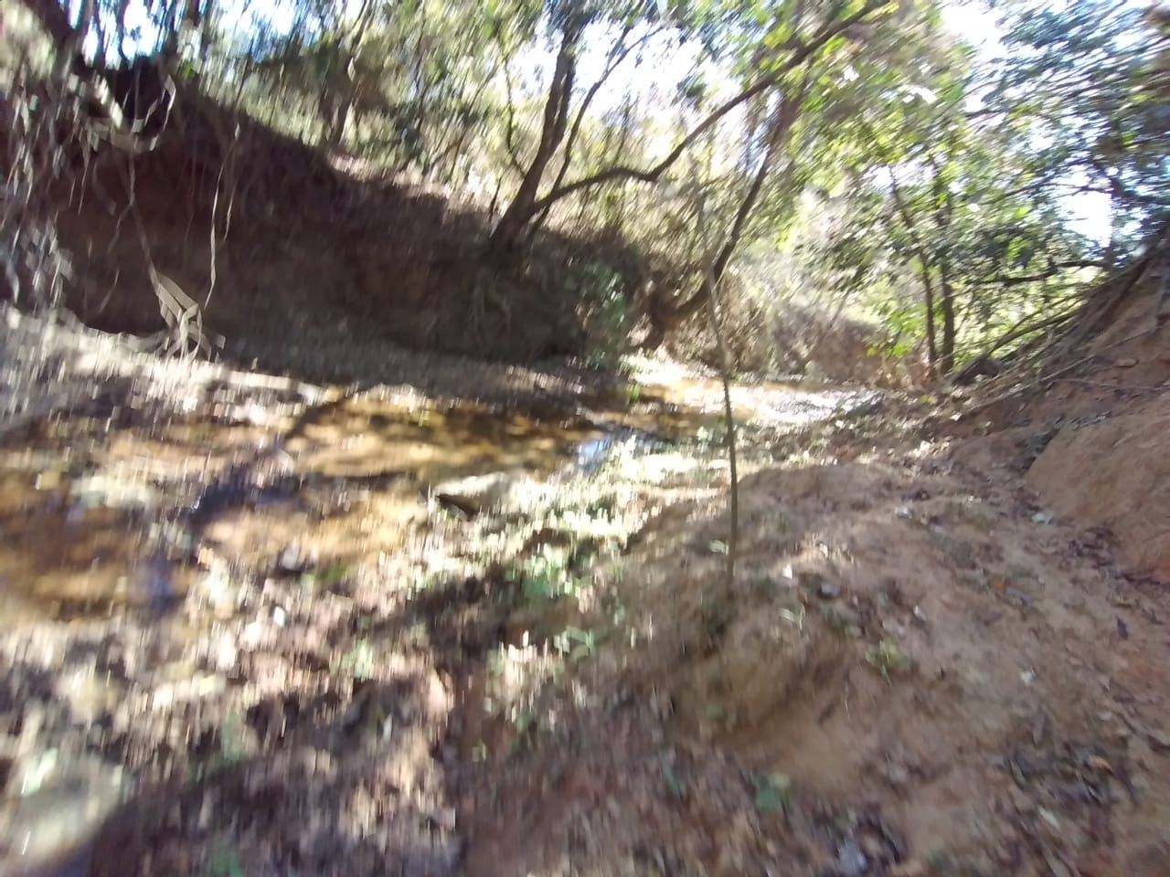 Terreno, 2 hectares - Foto 10